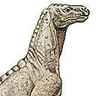 Reconstitution d'un iguanodon